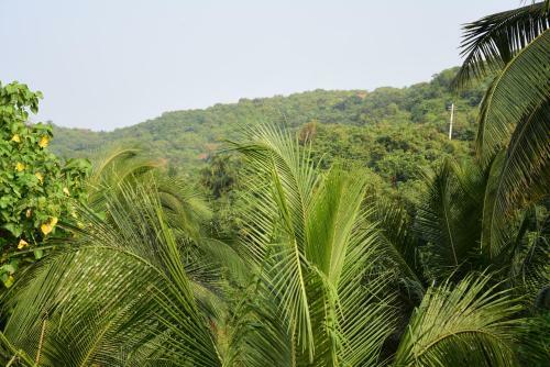 Apartamentos White Sands Arambol