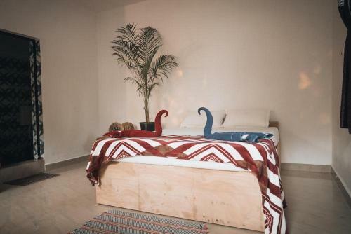 Hostal Deshu's Little Italy