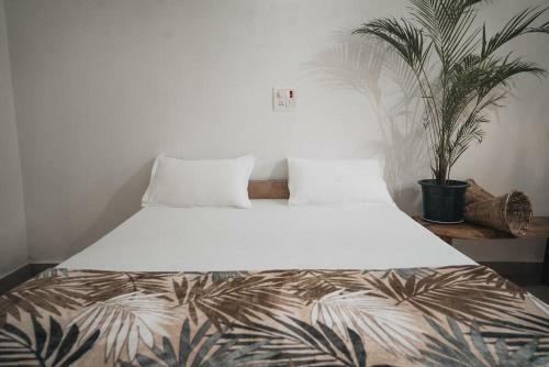 Hostal Deshu's Little Italy