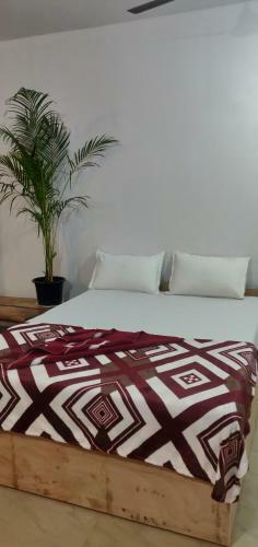 Hostal Deshu's Little Italy