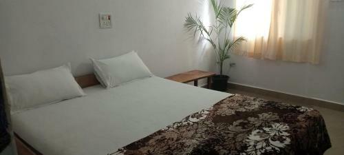 Hostal Deshu's Little Italy