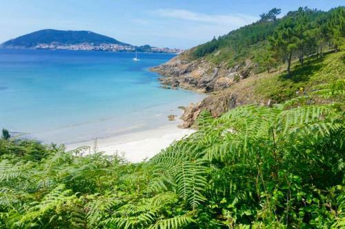 Apartamento Junto Camino de Santiago,1� L�nea de Playa