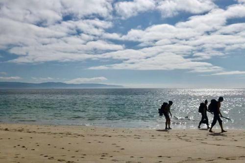 Apartamento Junto Camino de Santiago,1� L�nea de Playa