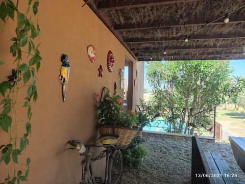 Agroturismo Can Nentia