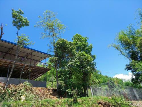 Dharapani Homestay