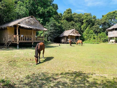 Albergue Preahatith Island