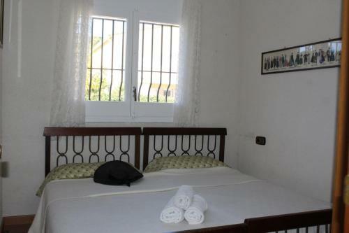 Club Villamar - Nuis