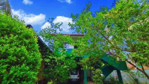 Hostal Villa Dragon House
