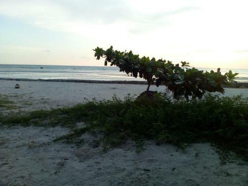 Hotel Hutkins Beach