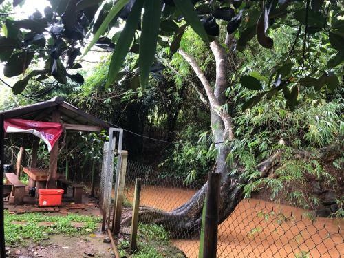 Hostal Mondulkiri Pizza Bungalows