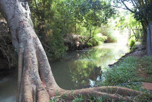 Hostal Mondulkiri Pizza Bungalows