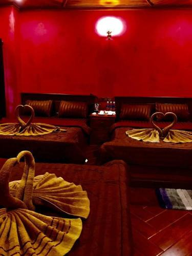 Hotel Gibbon Lodge
