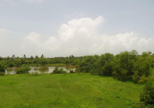 10) Spacious Serviced Villa Central Arpora & Wifi