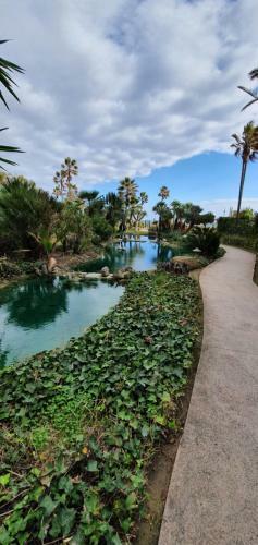 Apartamento Costalita Seaview
