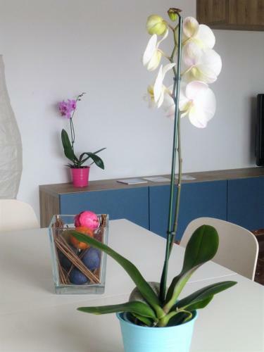 Apartamento Centrico Y Luminoso