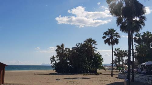 Apartamento C�ntrico Frente A La Playa.