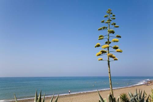 Apt 311 Heaven Beach Apartments, Guadalmansa Playa