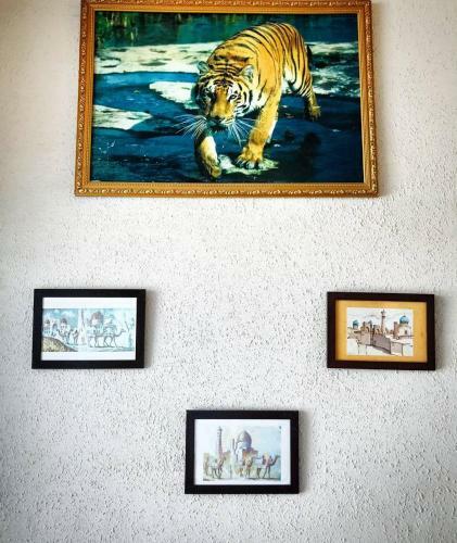 Hostal Ali Nur