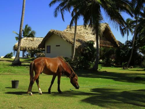Villa Punta Coral