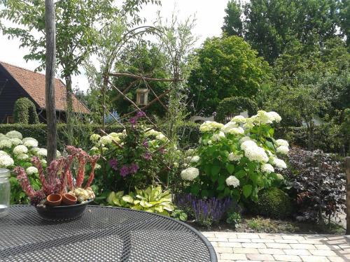 Bed And Breakfast Rodenberg