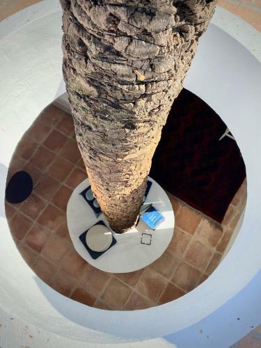 Hotel El Molino Estepona