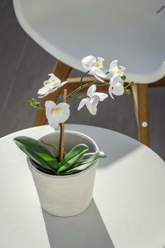 Lem- New 2 Bedroom Apartment In Le Mirage