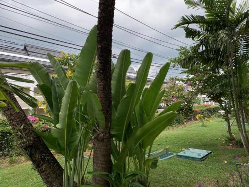 1 Bdr Apartment Allamanda Phuket, Nr. 16