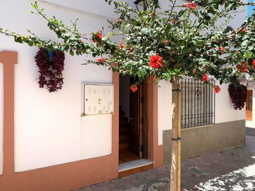 Mi Casita De Pueblo Centro Hist�rico