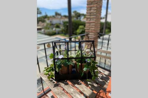 Lovely Apartment In Costa Del Sol, Estepona