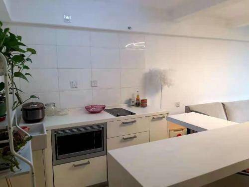 Chaoyang Joy City Hardcover Apartment