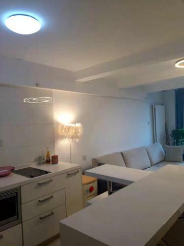 Chaoyang Joy City Hardcover Apartment