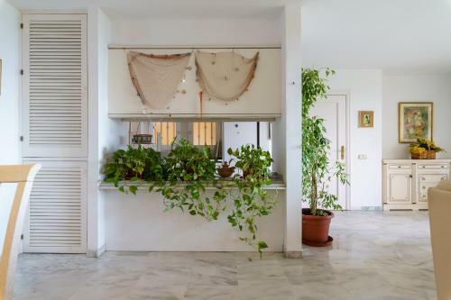 Estepona First Line Beach Apartment