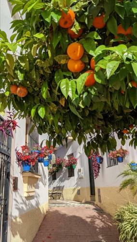 Apartamento Guadiana Sol