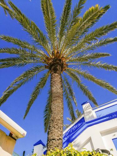 Apartamento Escape To Estepona