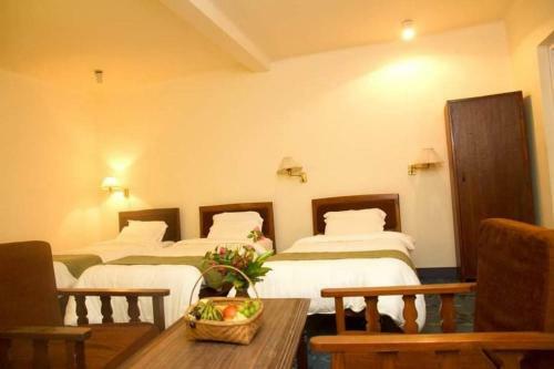Hotel Meghauli Wildlife Resort