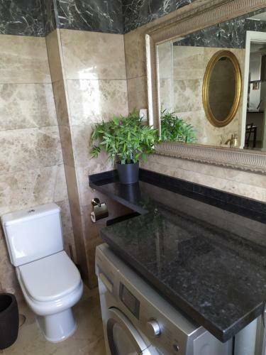 Apartamento Reina Sofia 45