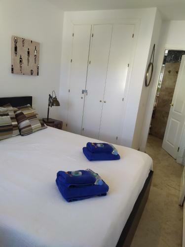 Apartamento Reina Sofia 45