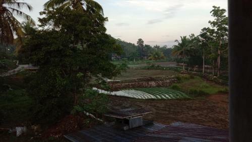 Fely's Homestay