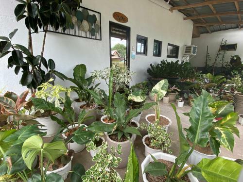 Hotel Severina's Garden Resort By Cocotel - Fully Vaccinated Staff