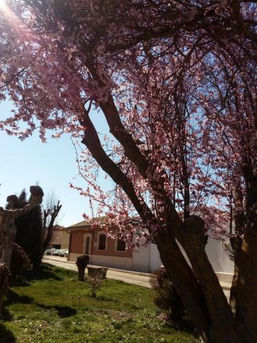 Casa Rural La Casilla De Mila