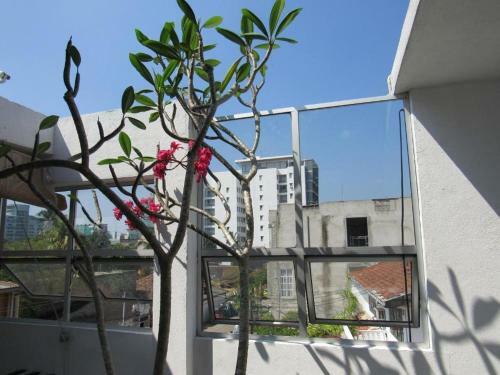 Bed & Breakfast Foozoo Mantra Colombo 05