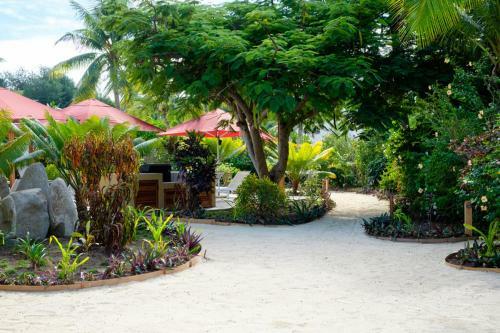 Hotel Musket Cove Island Resort