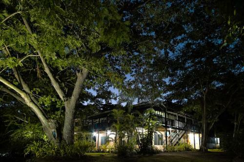 Hotel Musket Cove Island Resort