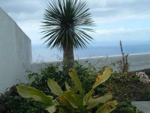 Agroturismo Casa Los Vi�edos B