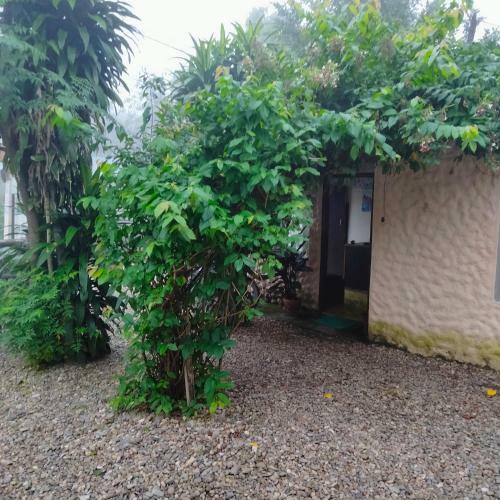 Hotel Tiger Tops Sauraha