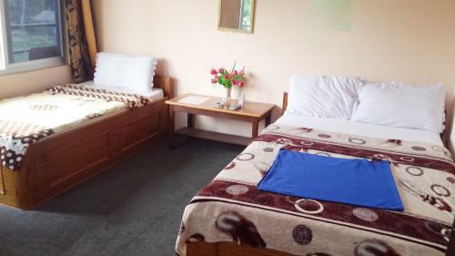 Hostal Nikunj Safari Guest House