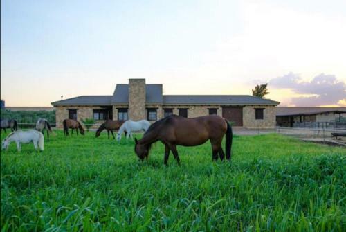 Bed & Breakfast Casa Rural Ecuestre