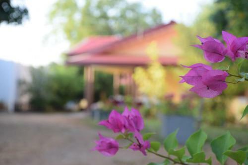 Bed & Breakfast Gold Inn