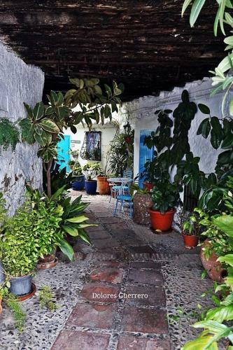 Villa Nuria