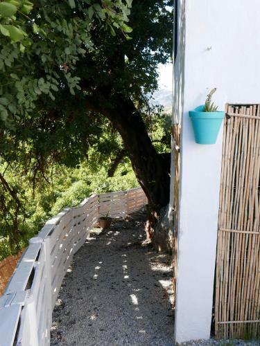 La Casa Turquesa-original